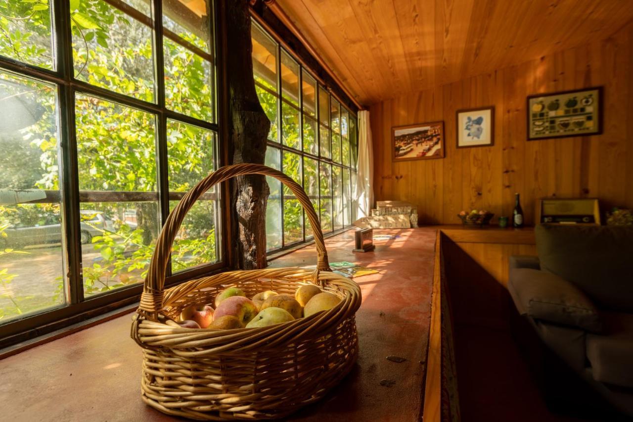 Chale Da Quinta "Lavoura Da Bouca - Fruta Bio" Guest House Celorico De Basto Ngoại thất bức ảnh