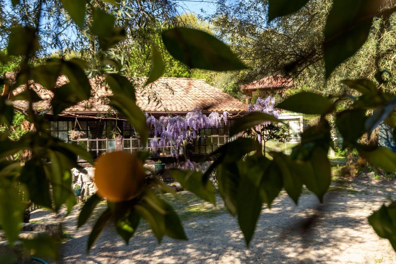 Chale Da Quinta "Lavoura Da Bouca - Fruta Bio" Guest House Celorico De Basto Ngoại thất bức ảnh