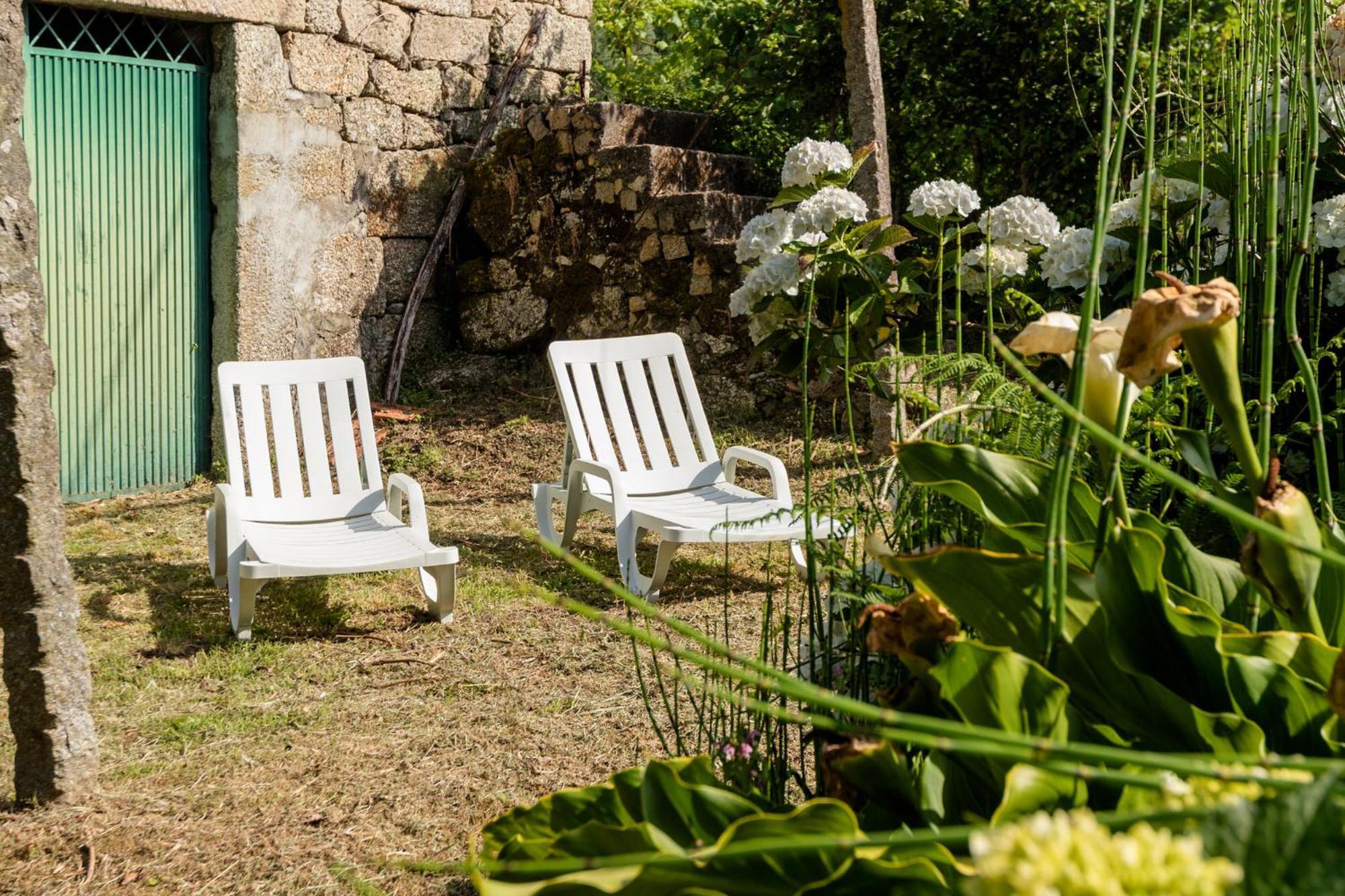 Chale Da Quinta "Lavoura Da Bouca - Fruta Bio" Guest House Celorico De Basto Ngoại thất bức ảnh