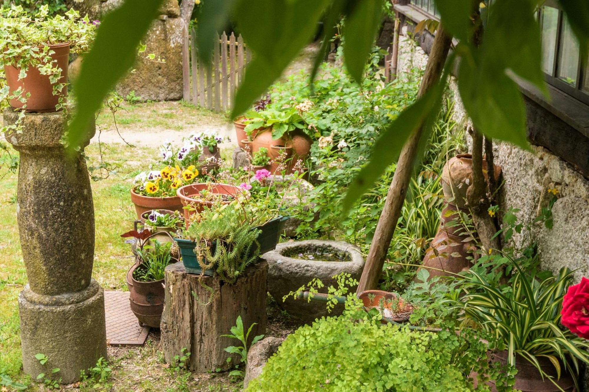 Chale Da Quinta "Lavoura Da Bouca - Fruta Bio" Guest House Celorico De Basto Ngoại thất bức ảnh