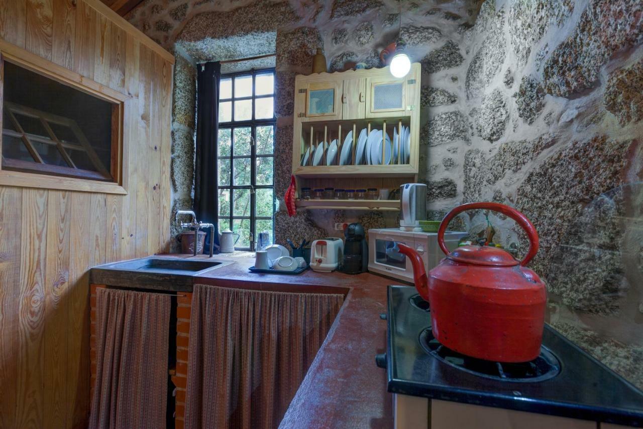 Chale Da Quinta "Lavoura Da Bouca - Fruta Bio" Guest House Celorico De Basto Ngoại thất bức ảnh